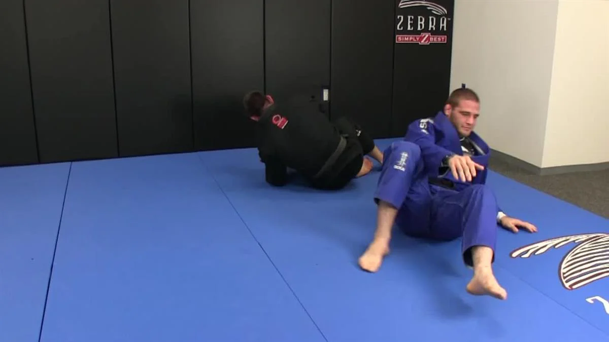 Arm-Lock Series (Juji-Gatame) by Jimmy Pedro & Travis Stevens - Image 3