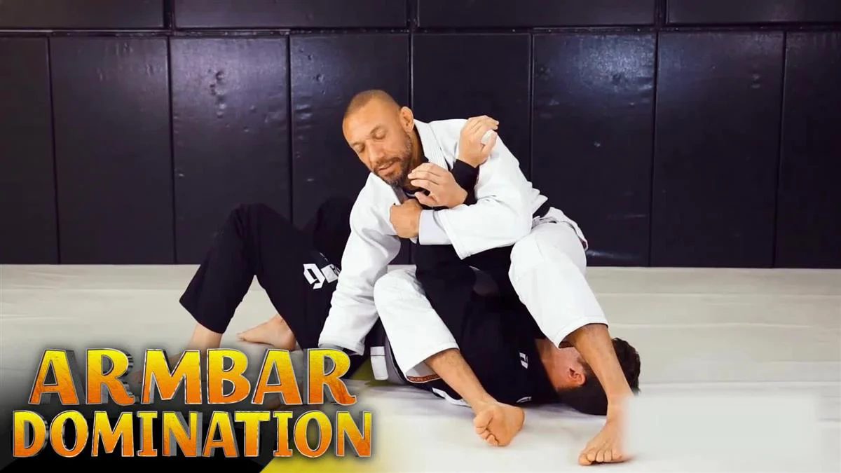 Armbar Domination by Al Hogan - Image 3
