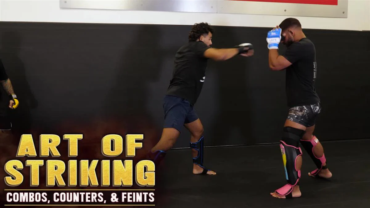 Art of Striking Combos, Counters, & Feints by Charles Martinez - Image 3