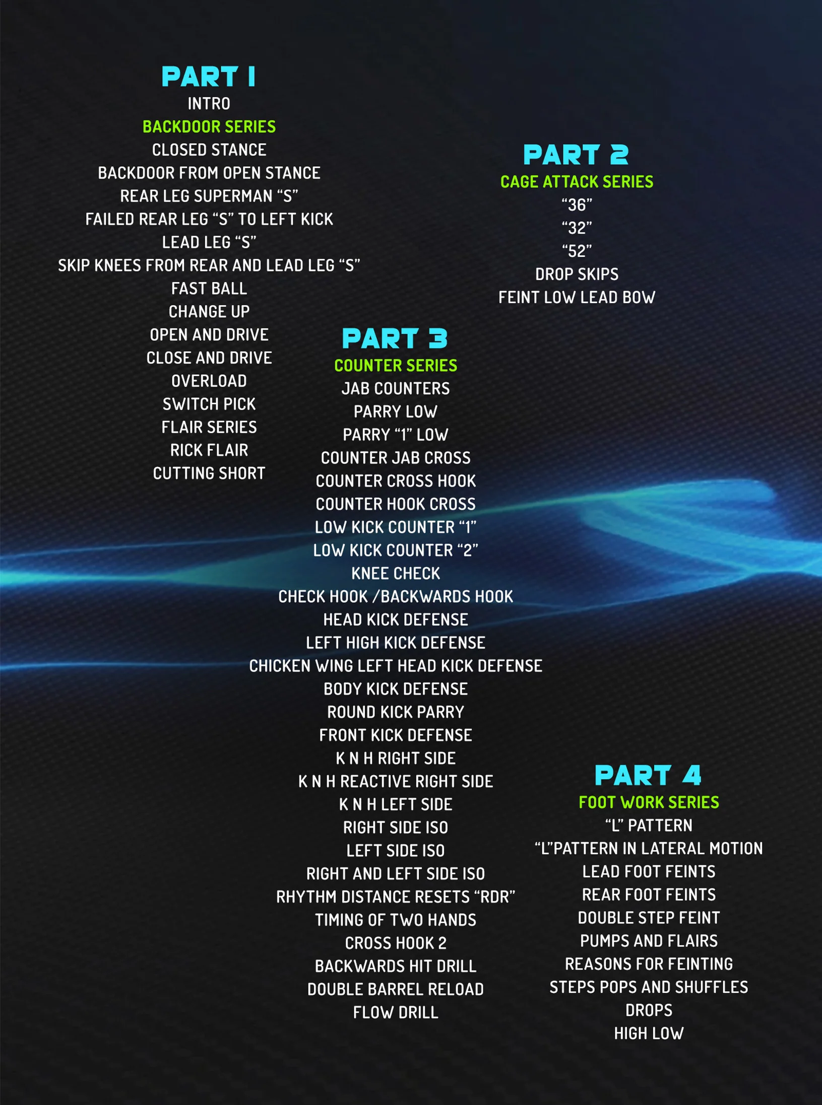 Attacks, Counter and Feints for MMA by Randy Steinke - Image 2