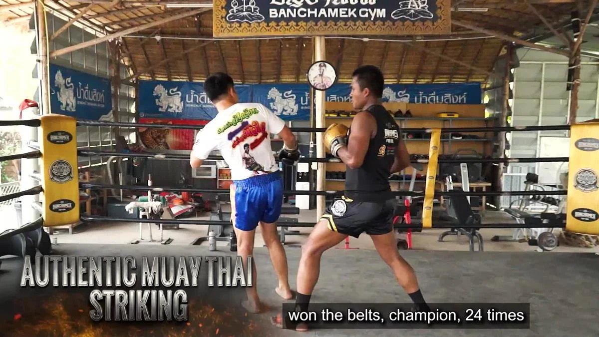 Authentic Muay Thai Striking by Buakaw Banchamek - Image 3