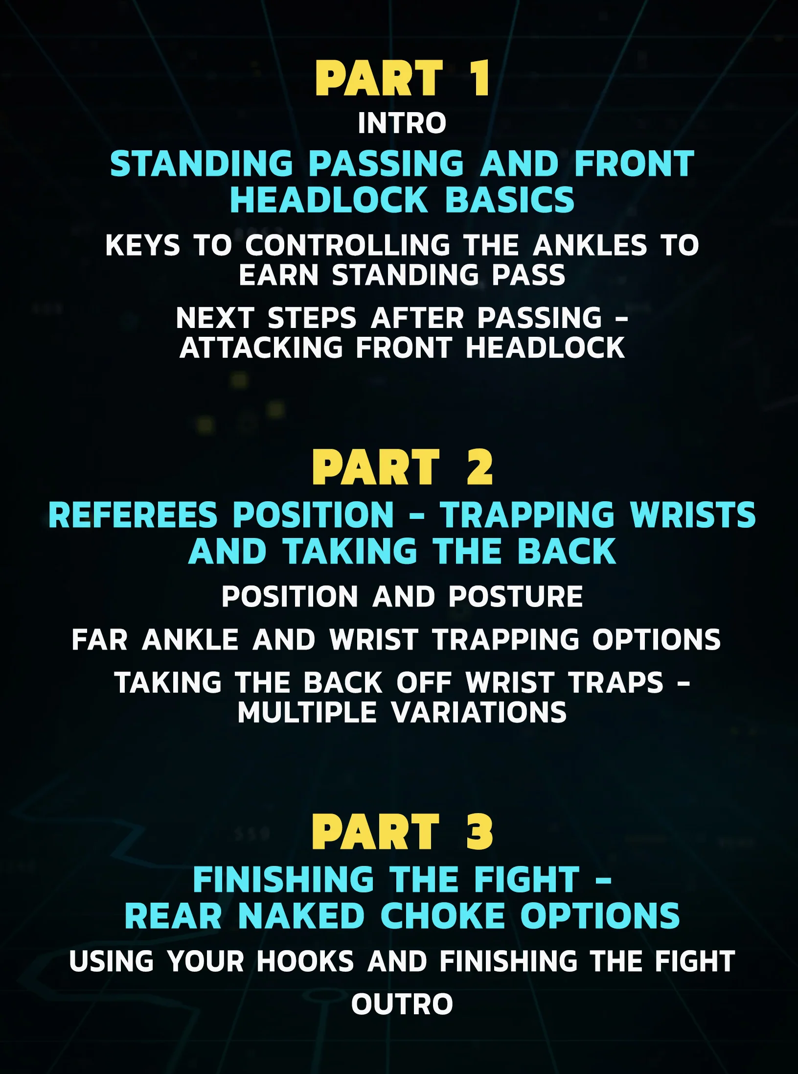 Back Attack Arsenal: Finish Every Fight by Gerald Meerschaert - Image 2