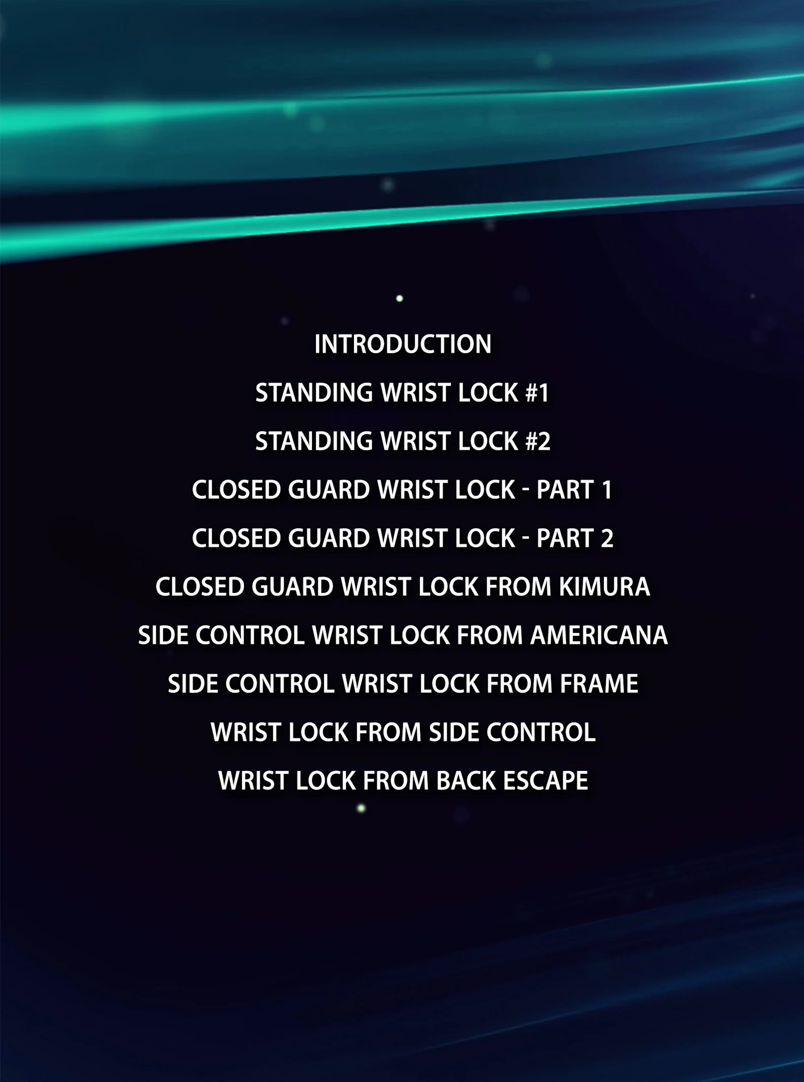 BJJ Fanatics Wrist Locks Masterclass - Image 2
