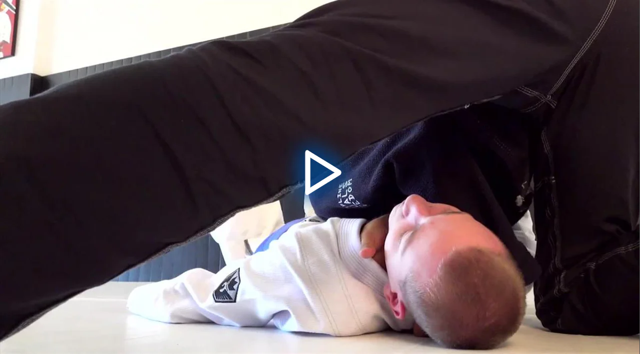 Blue Belt Requirements 2.0 by Roy Dean - Image 2
