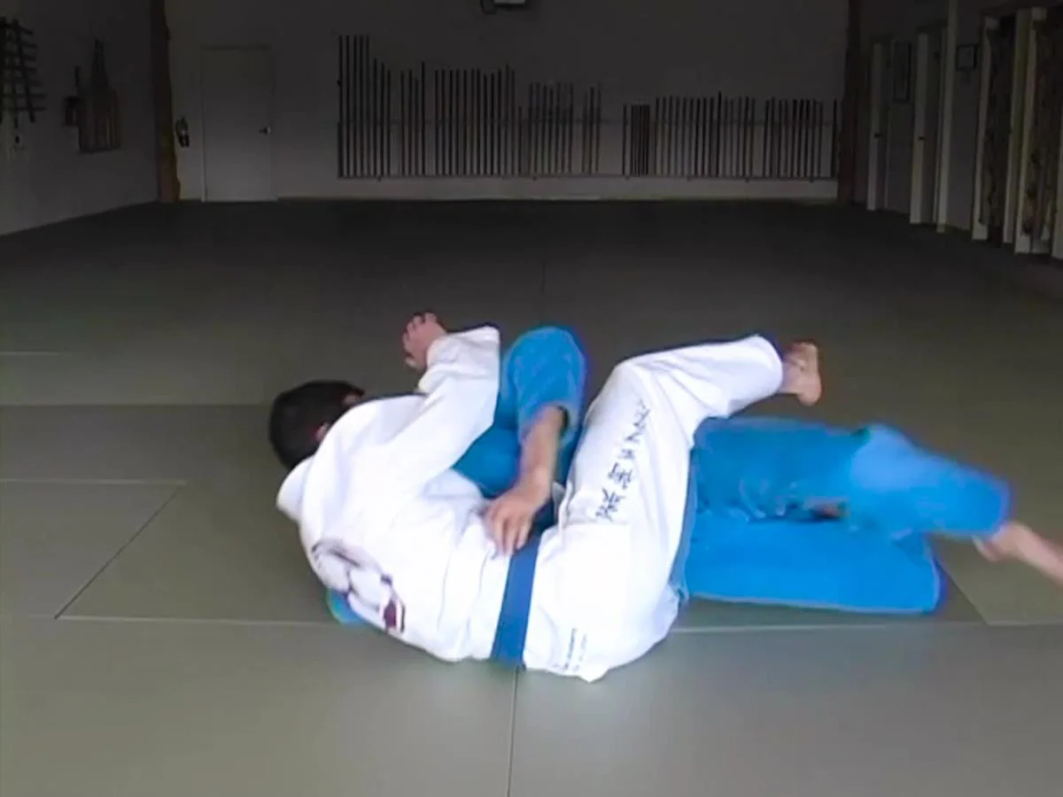 Brazilian Jiu Jitsu Blue Belt Requirements by Roy Dean - Image 2
