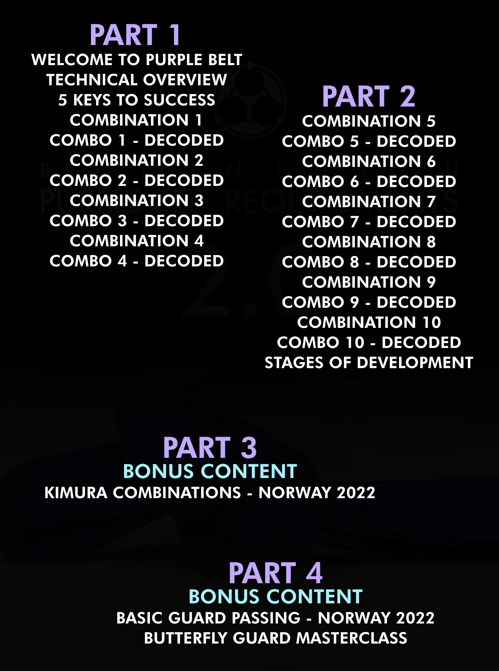 Brazilian Jiu Jitsu Requirements: Purple Belt 2.0 by Roy Dean - Image 2