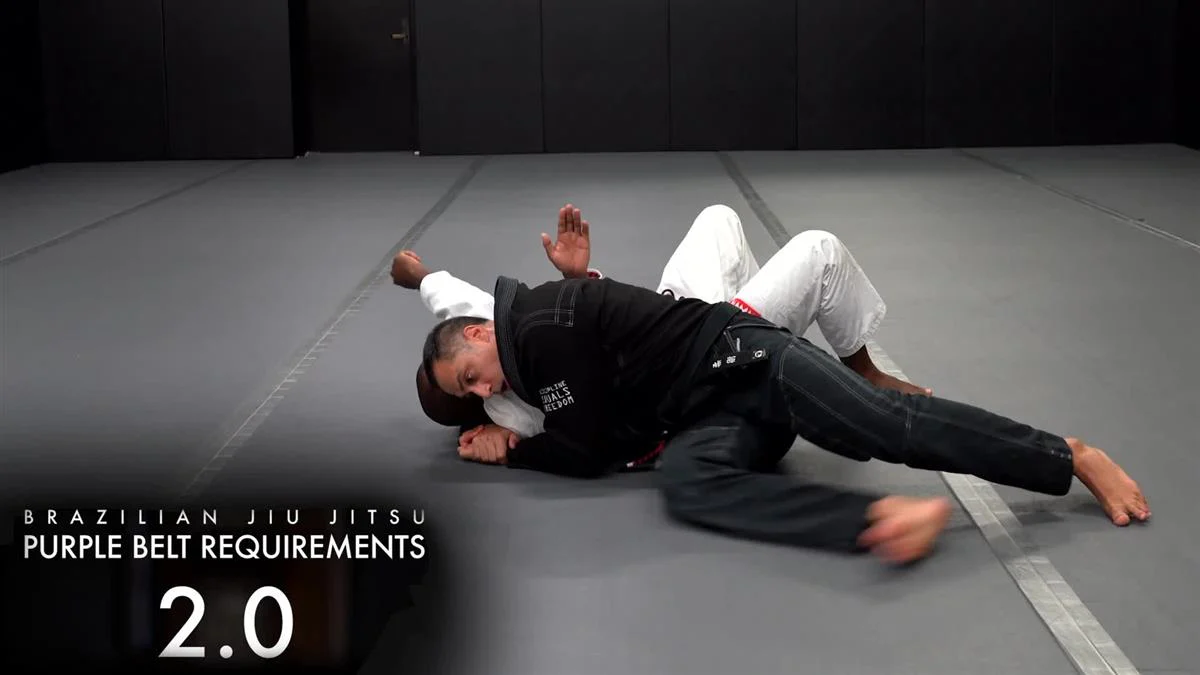 Brazilian Jiu Jitsu Requirements: Purple Belt 2.0 by Roy Dean - Image 3
