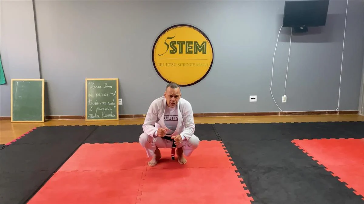 Capoeira For BJJ by Guilherme Santos - Image 5