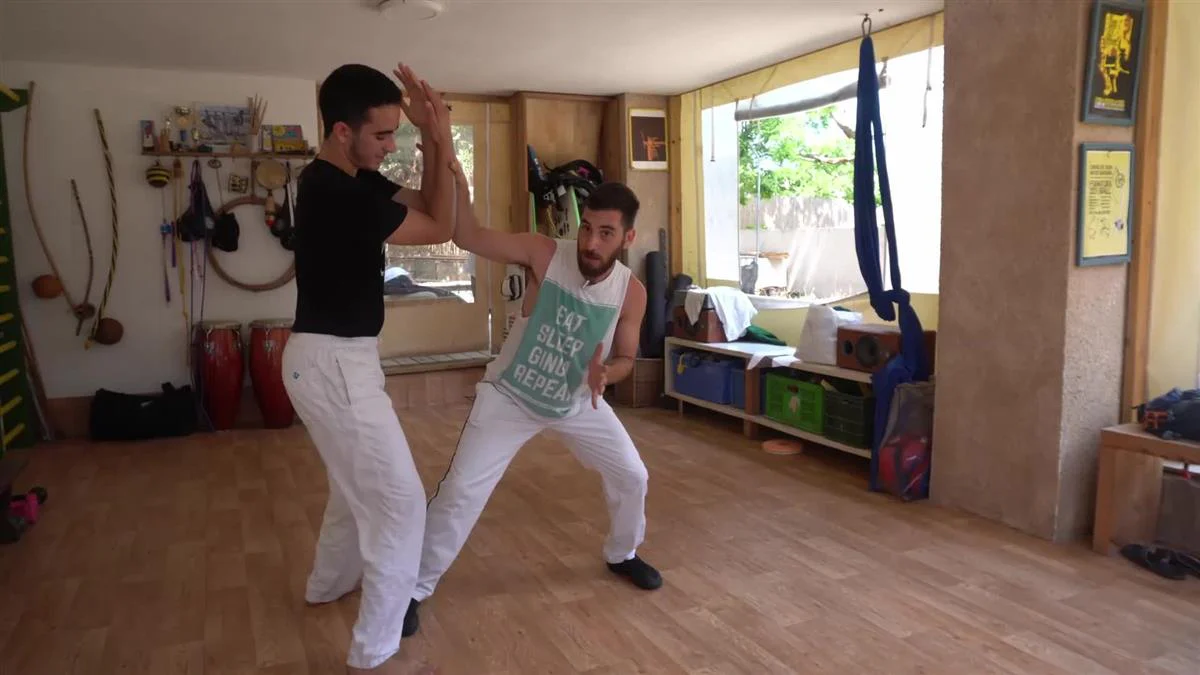 Capoeira Takedowns by Tom Polonsky - Image 4