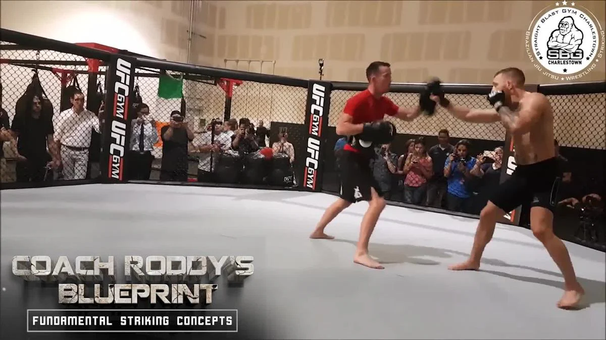 Coach Roddy's Blueprint by Owen Roddy - Image 3