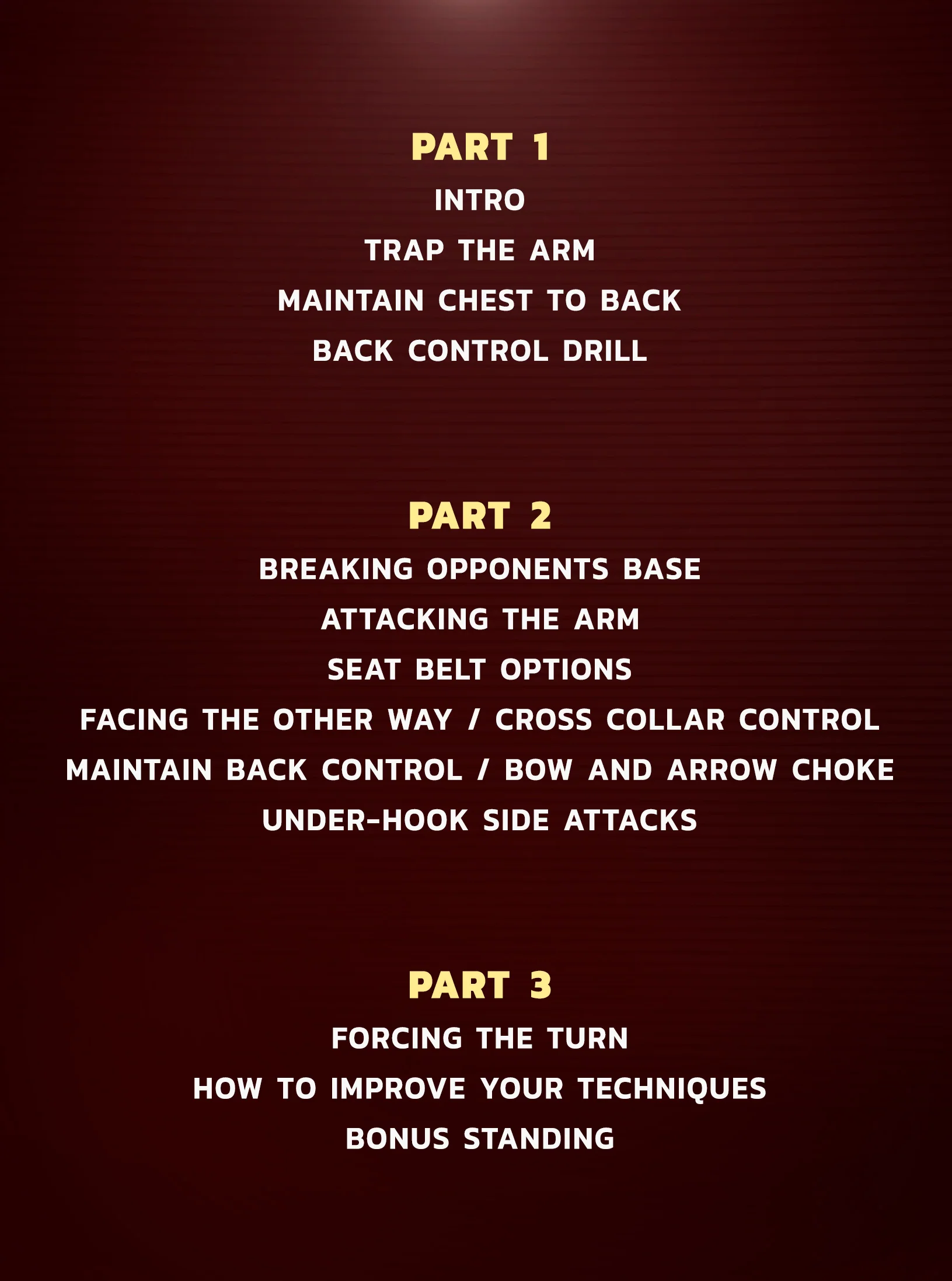 Coral Belt Concepts: Back Control & Attacks by Fabio Gurgel - Image 2