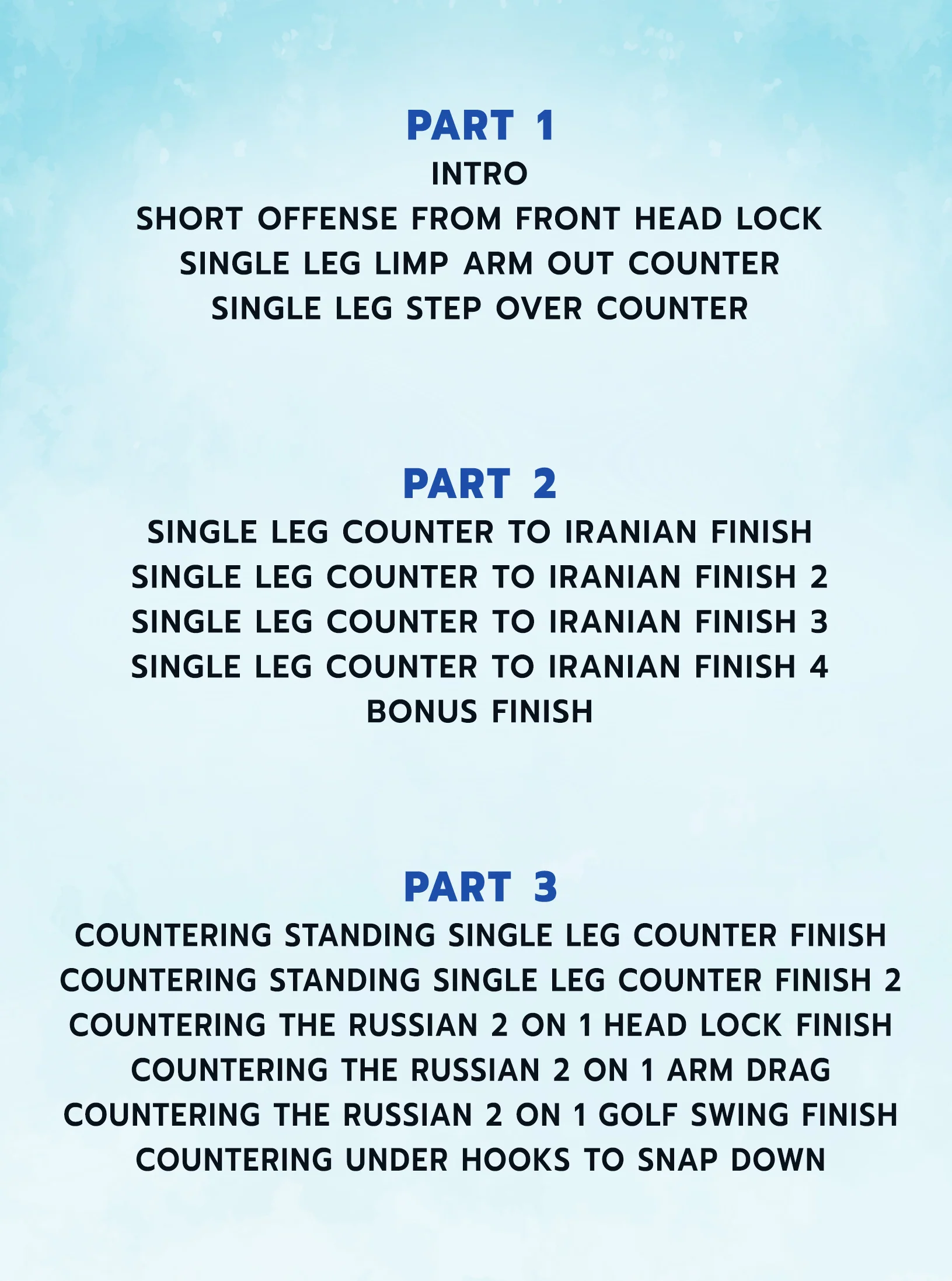 Countering Grappling Takedowns by Fred Leavy - Image 2
