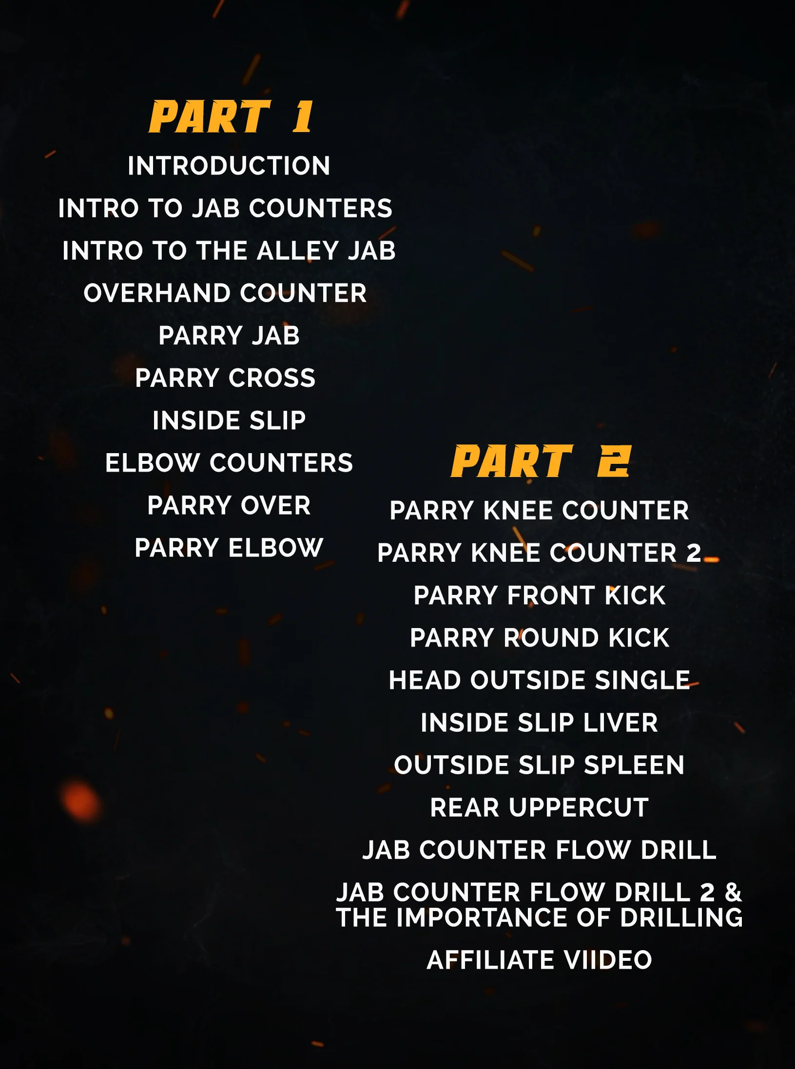 Countering The Jab by Duane Ludwig - Image 2