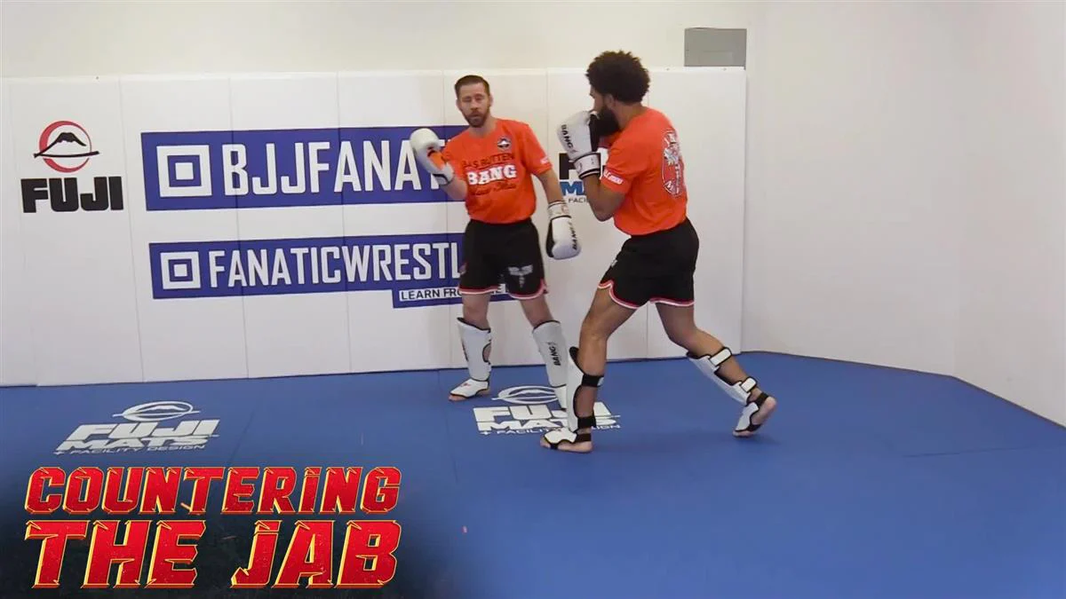 Countering The Jab by Duane Ludwig - Image 3