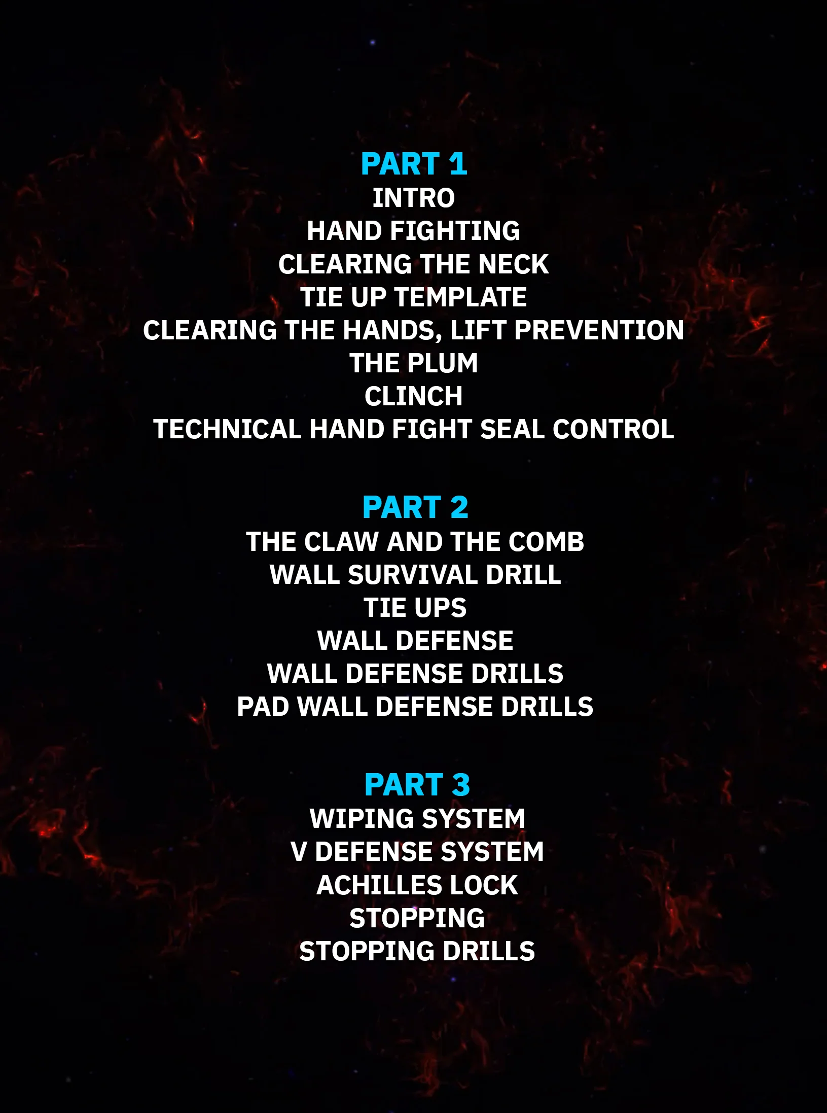 CSW Combatives Self defense by Erik Paulson - Image 2