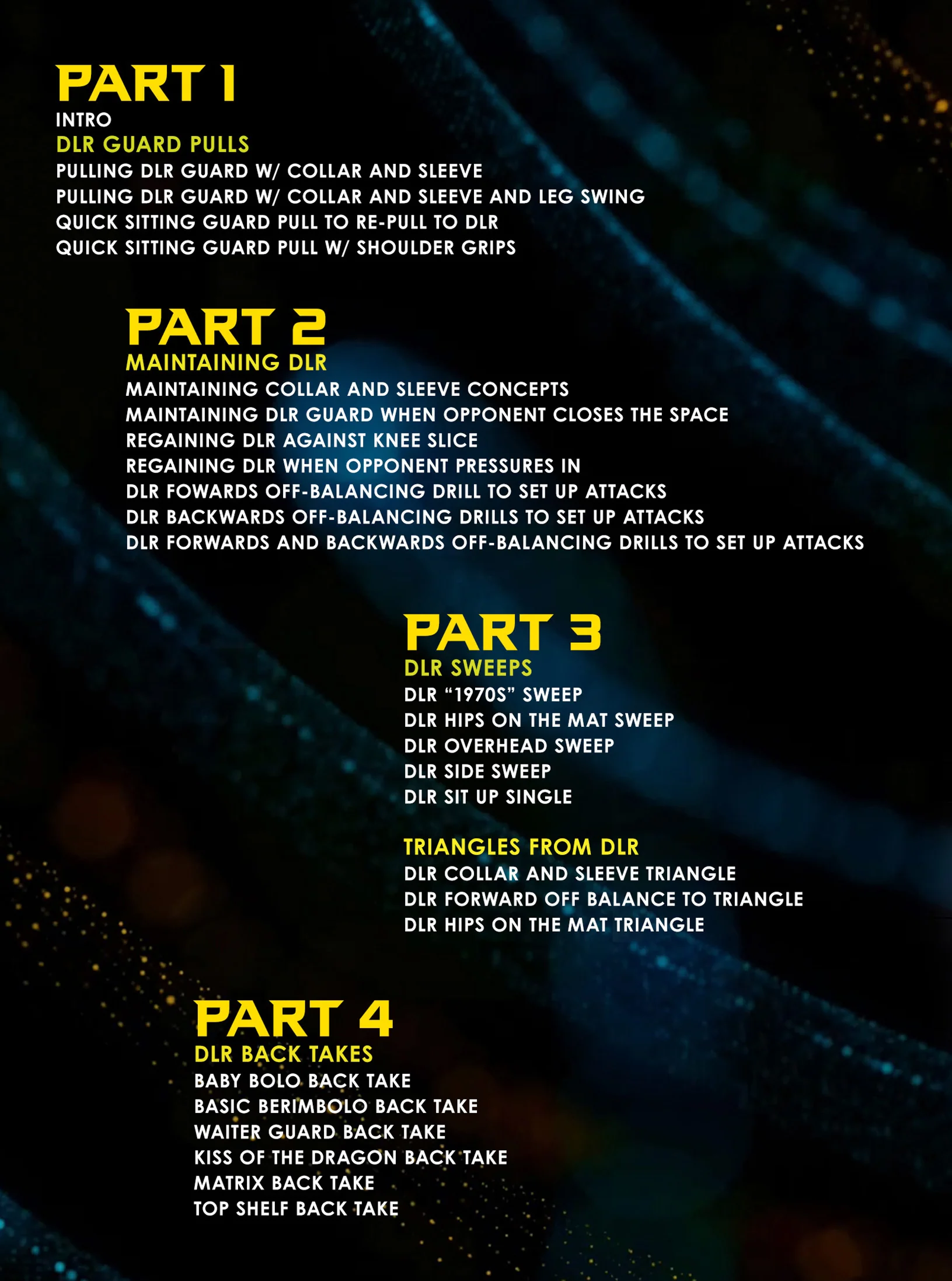 De La Riva Fundamentals by Danny Stolfi - Image 2