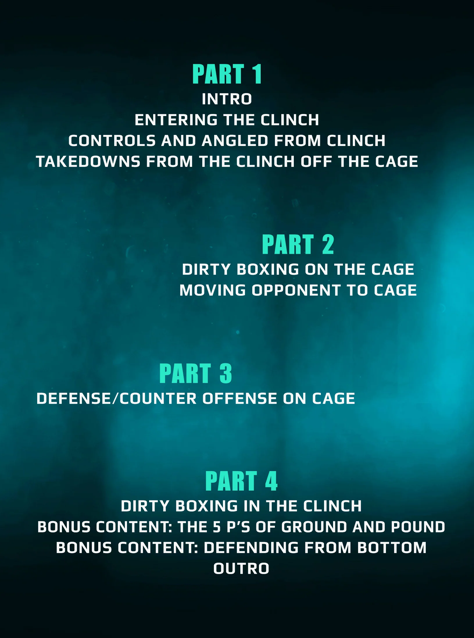 Dirty Boxer: Clinch & Takedowns For MMA by Matt Lindland - Image 2