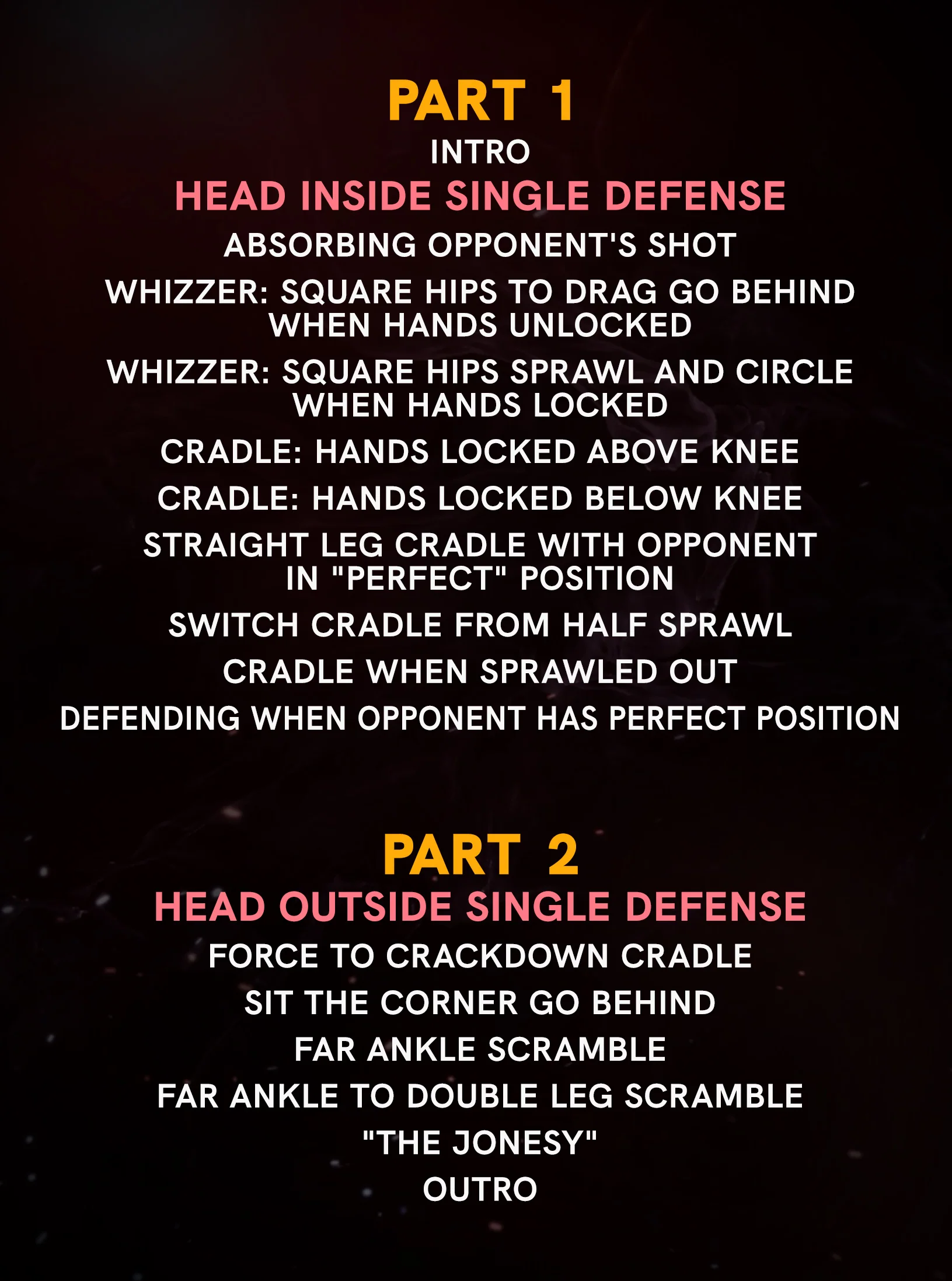 Dynamic Defense: Turning Opponents Attacks Into Position, Points, and Pins by Sammy Sasso - Image 2