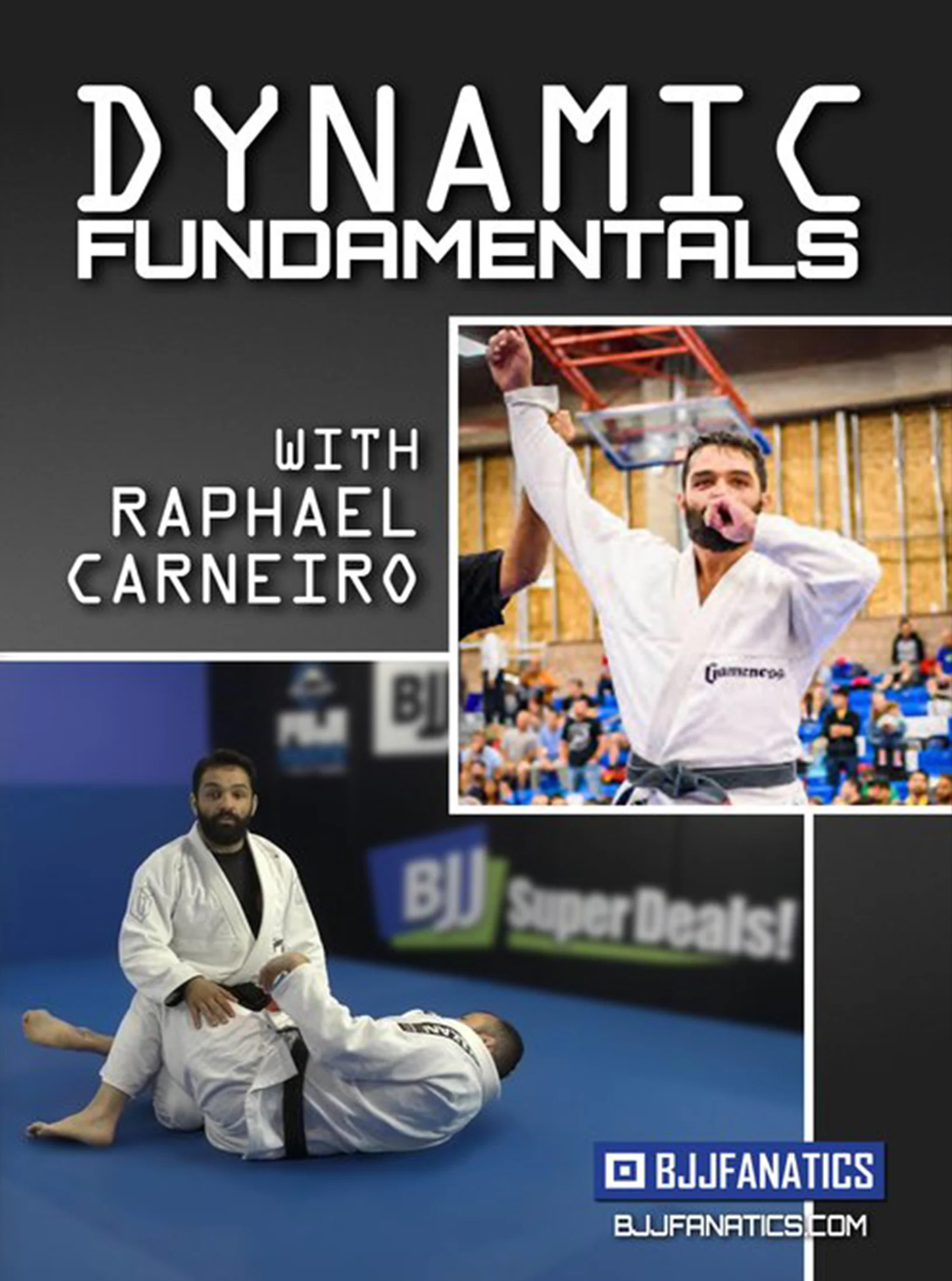 Dynamic Fundamentals by Raphael Carneiro