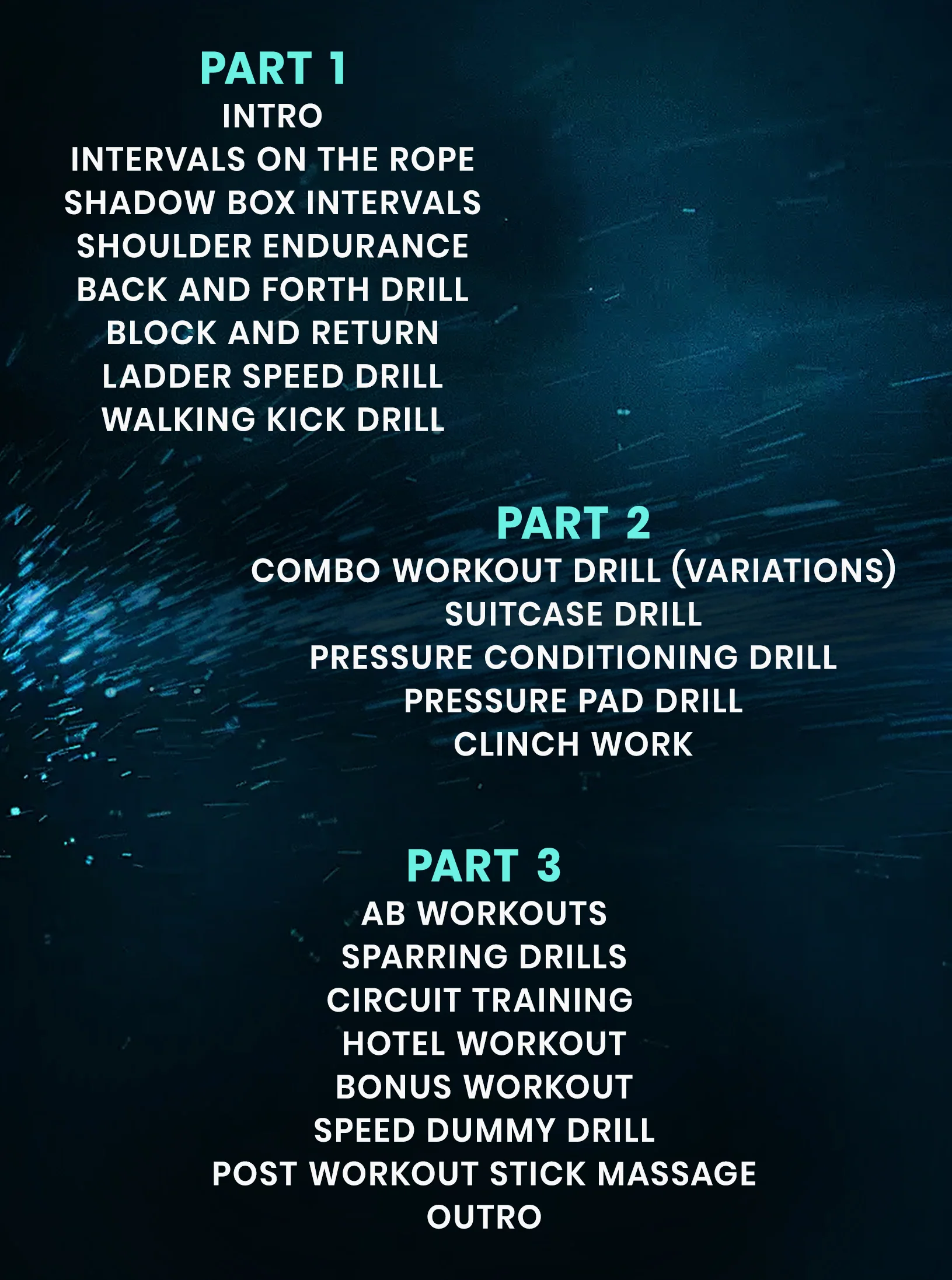 Dynamic Home Striking Workouts by James Campbell - Image 2