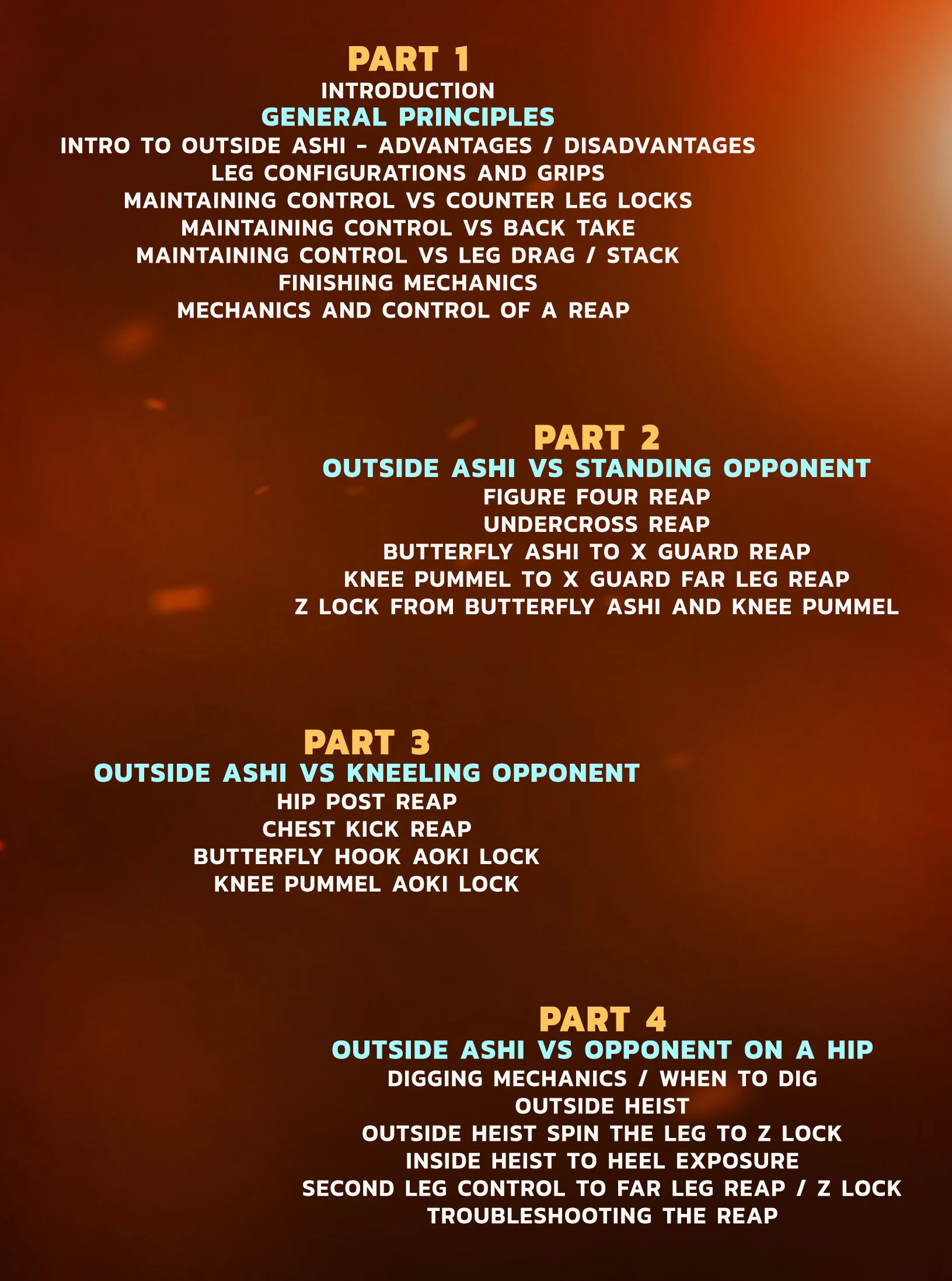 Dynamic Outside Ashi: Leg Attacks by Jason Rau - Image 2