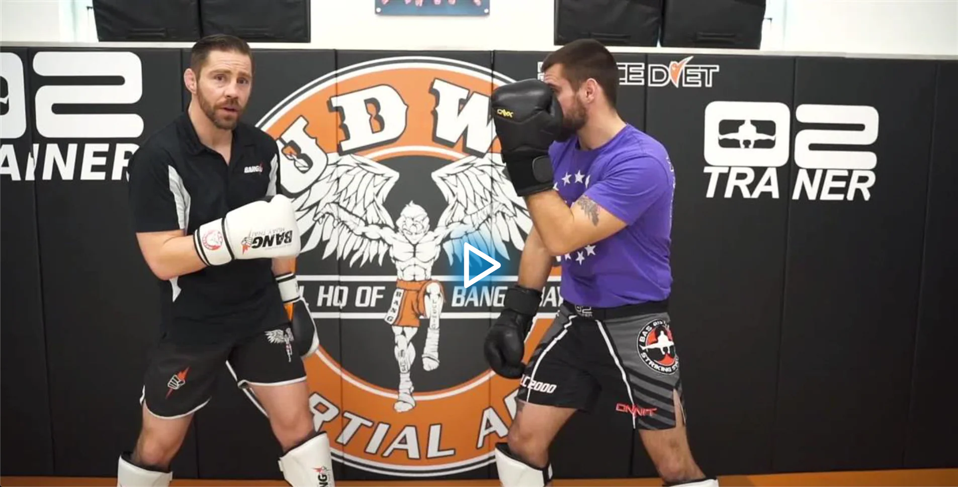 Dynamic Striking Defense by Duane Ludwig - Image 5