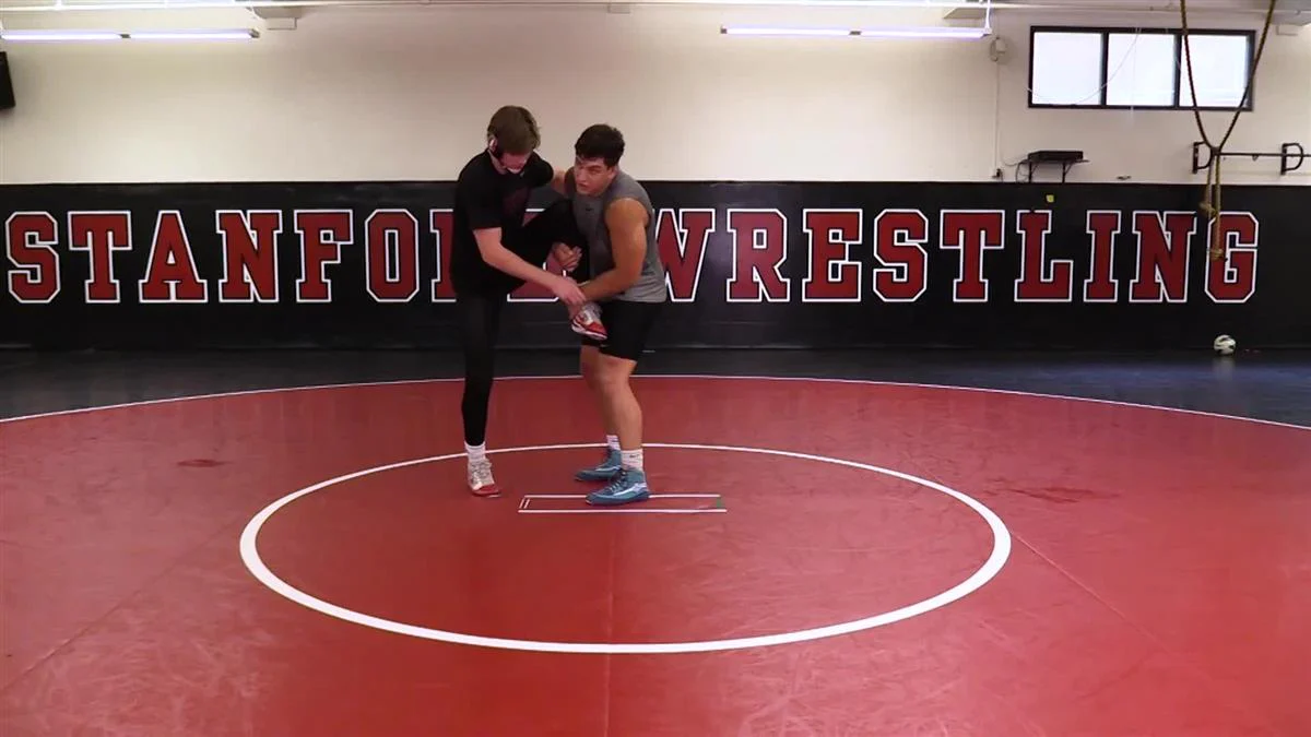 Effective Setups & Leg Attacks by Ben Honis - Image 5