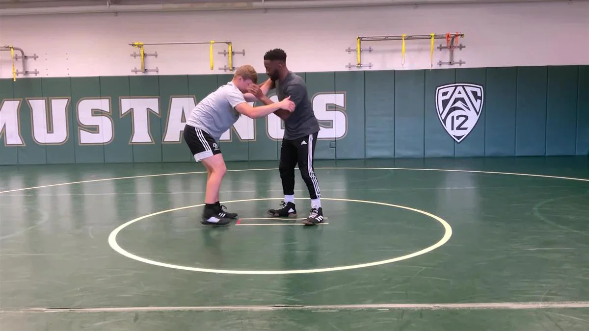 Elbow Control Takedown System by Chris Chionuma - Image 4