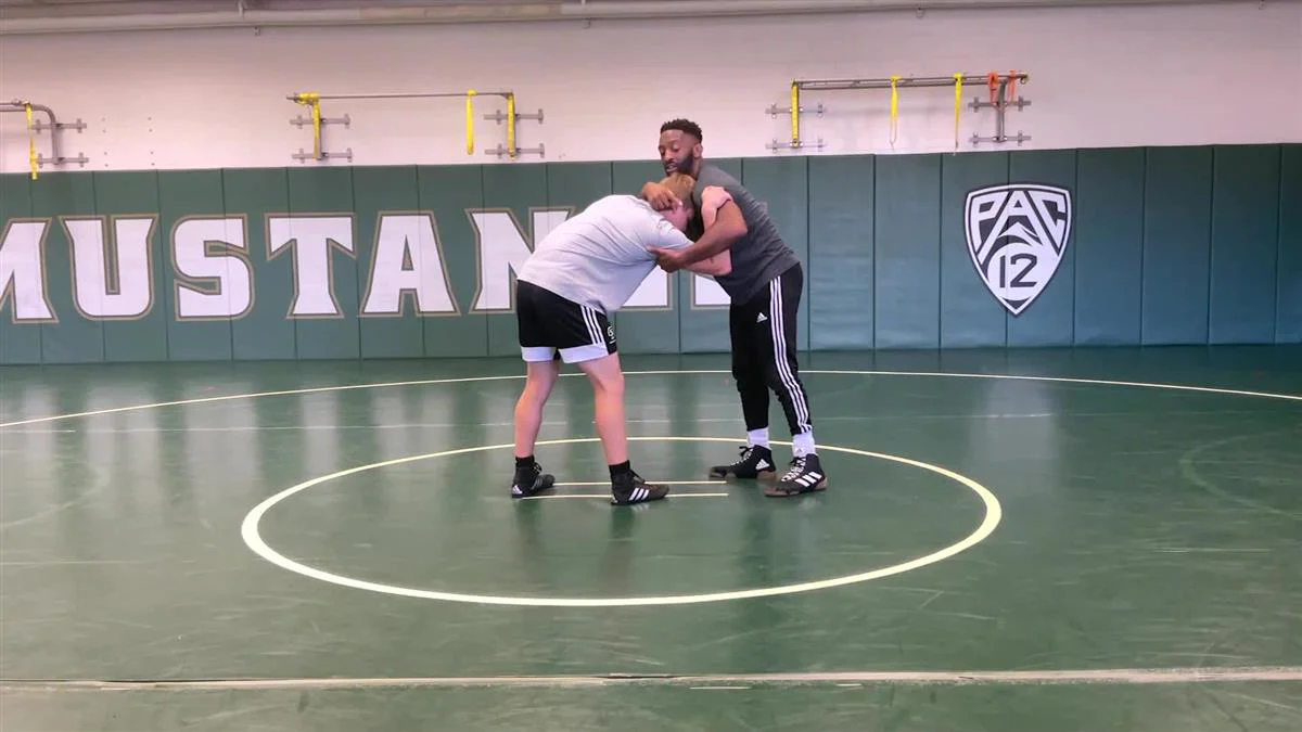 Elbow Control Takedown System by Chris Chionuma - Image 5