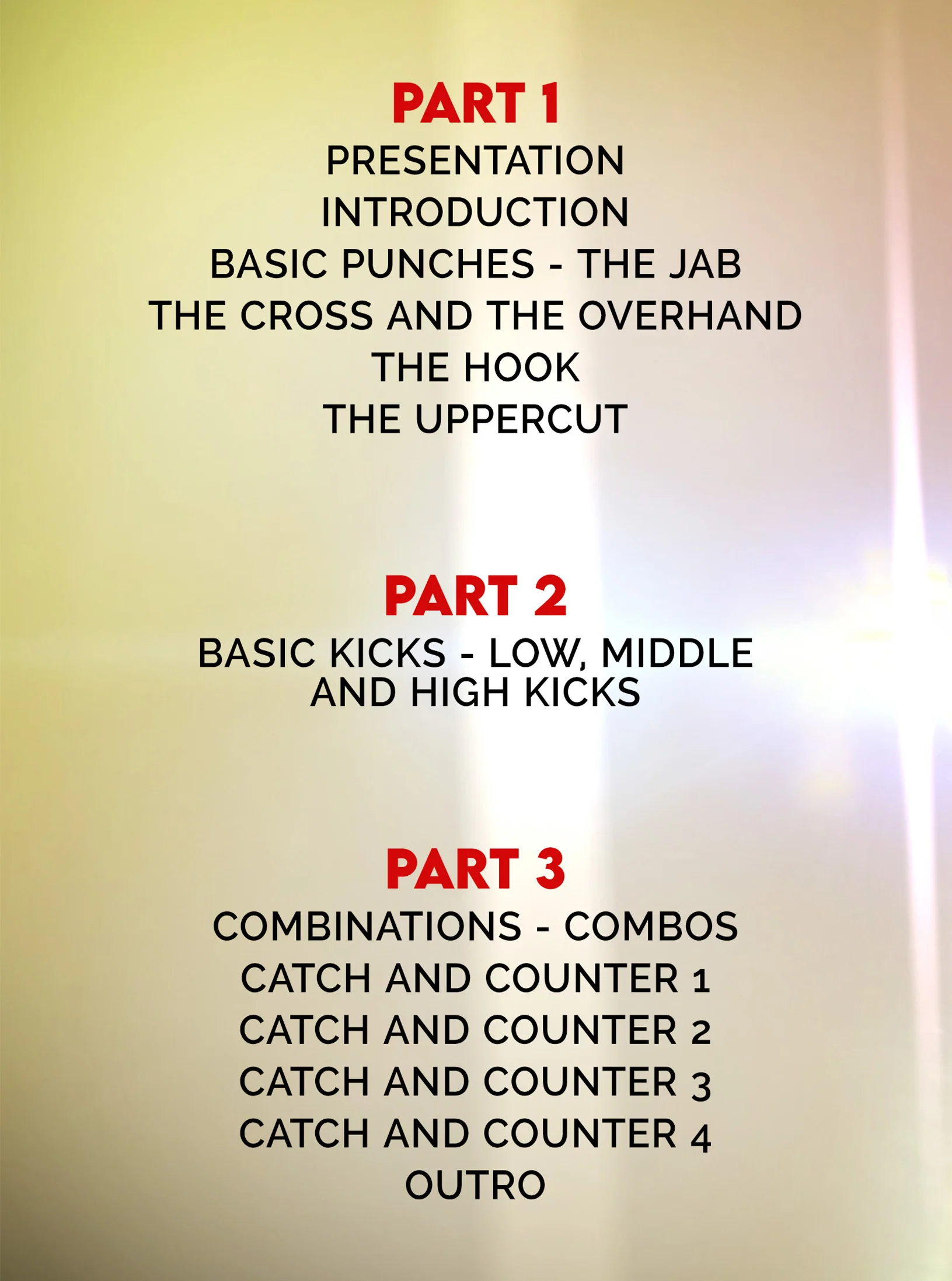 European Striking Fundamentals by Morgan Charriere - Image 2