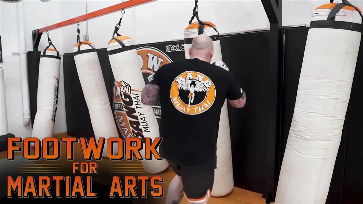 Footwork For Martial Arts by Seth Stacey - Image 3