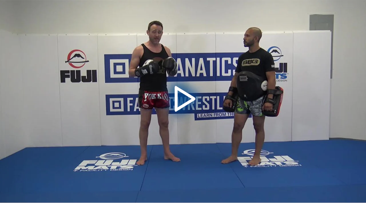 Fundamentals of Functional Striking by Stephen Whittier - Image 3
