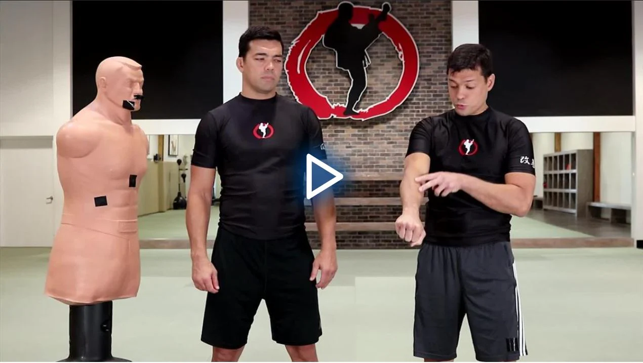 Fundamentals of Karate Power Striking For MMA by Lyoto and Chinzo Machida - Image 4