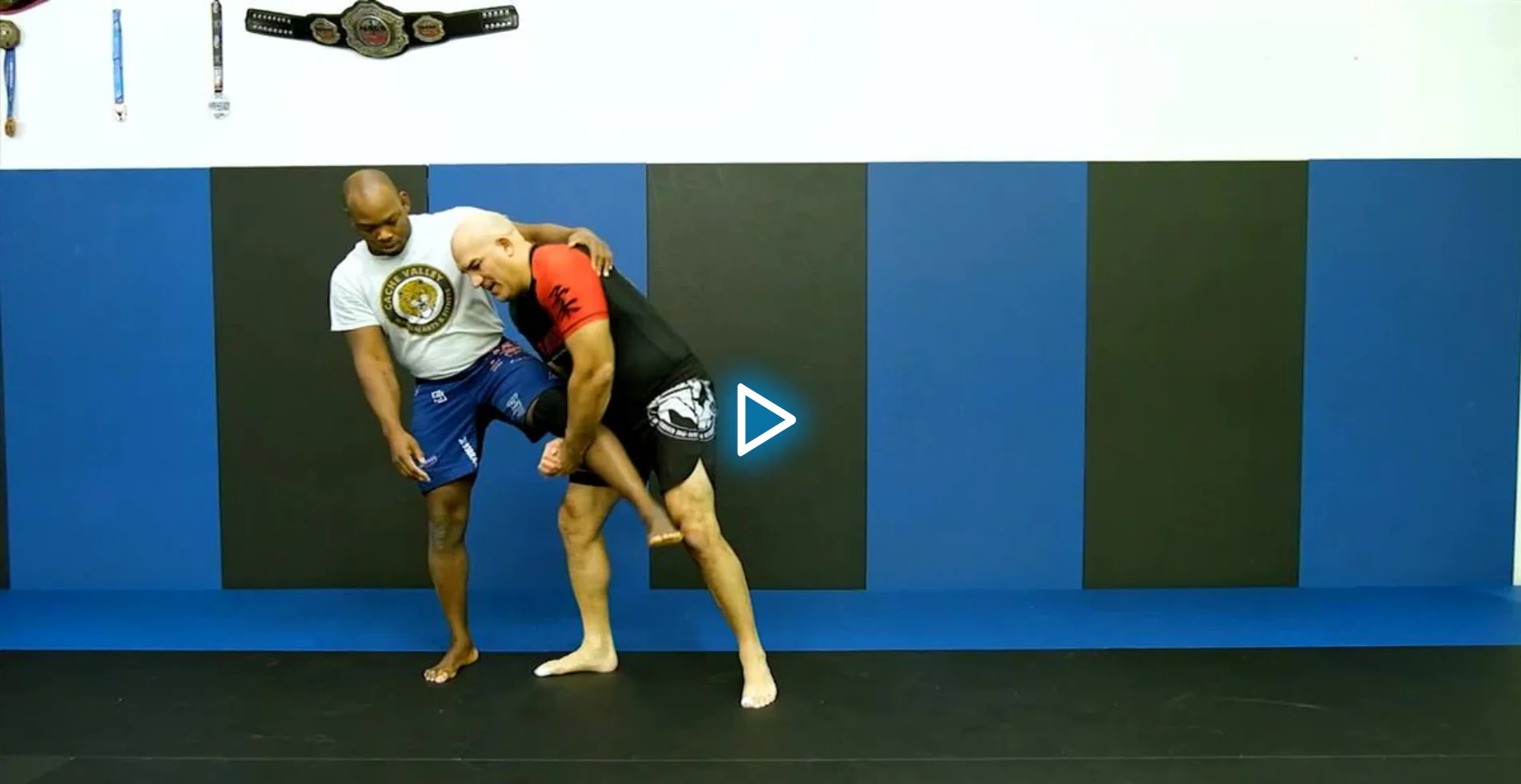 Grappling Takedown Dominance For Grapplers by Brandon Ruiz - Image 5