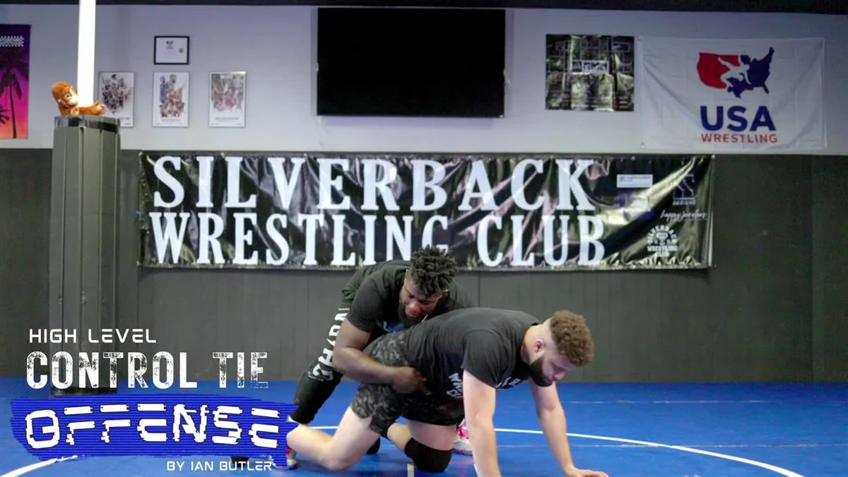 High Level Control Tie Offense by Ian Butler - Image 3