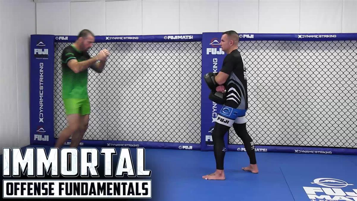Immortal Defense Fundamentals by Matt Brown - Image 3