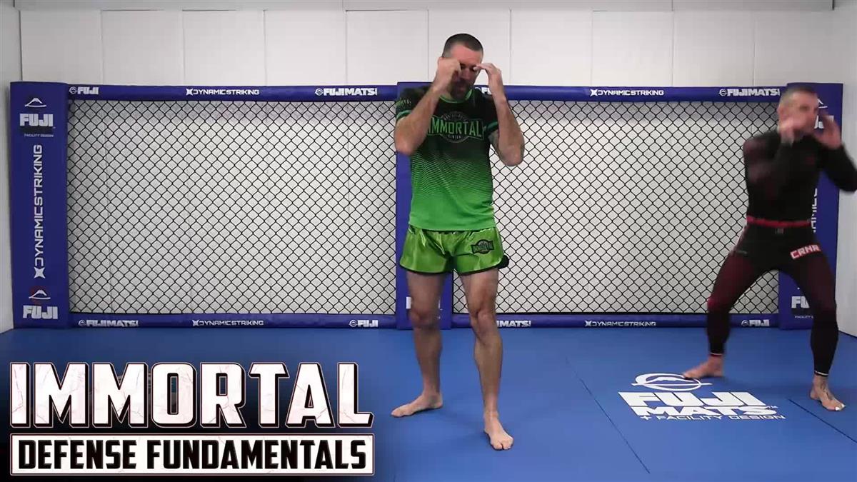 Immortal Offense Fundamentals by Matt Brown - Image 3