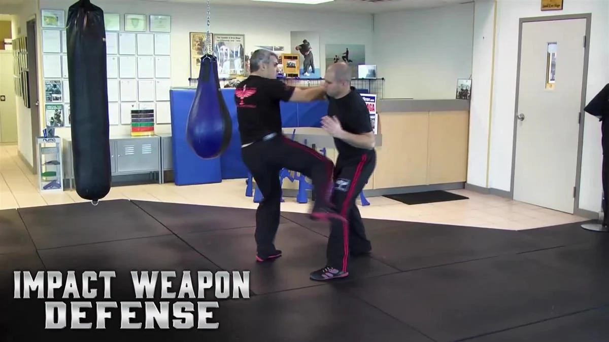 Impact Weapon Defense by David Kahn - Image 3