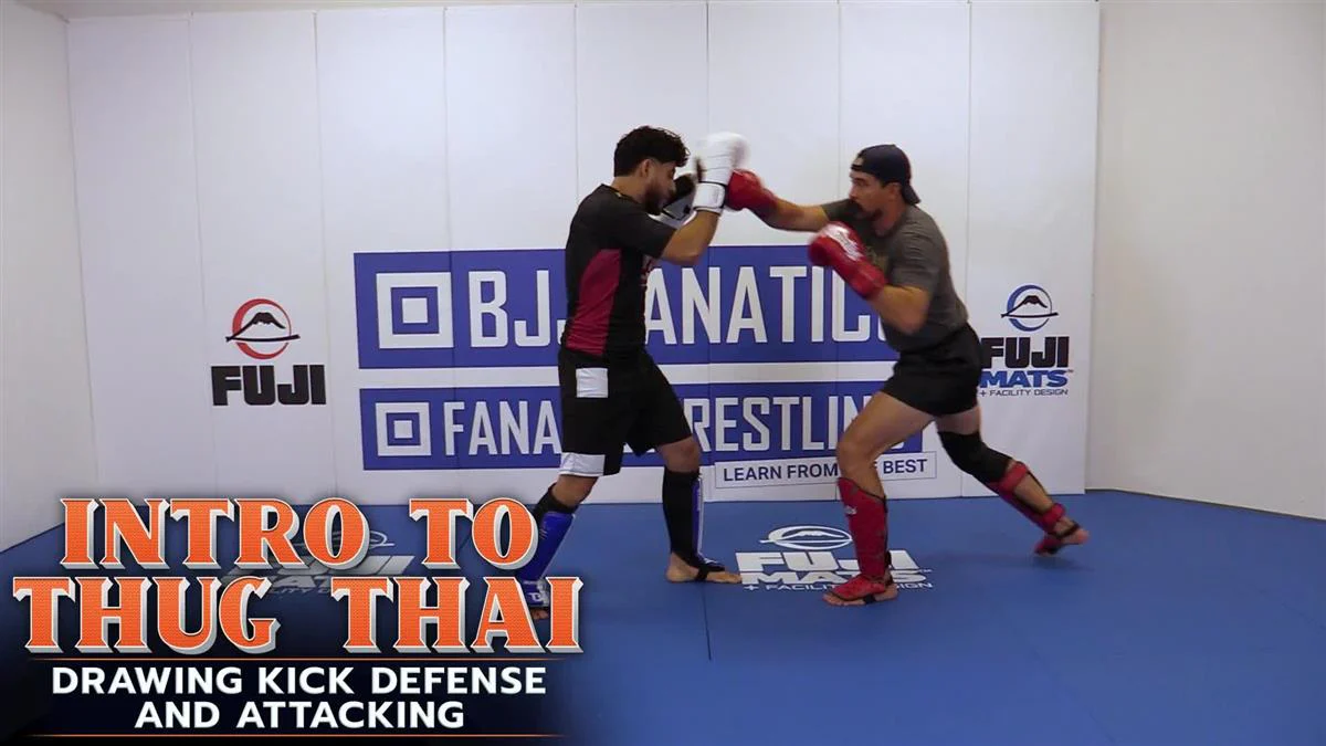 Intro To Thug Tai by AJ Matthews - Image 3