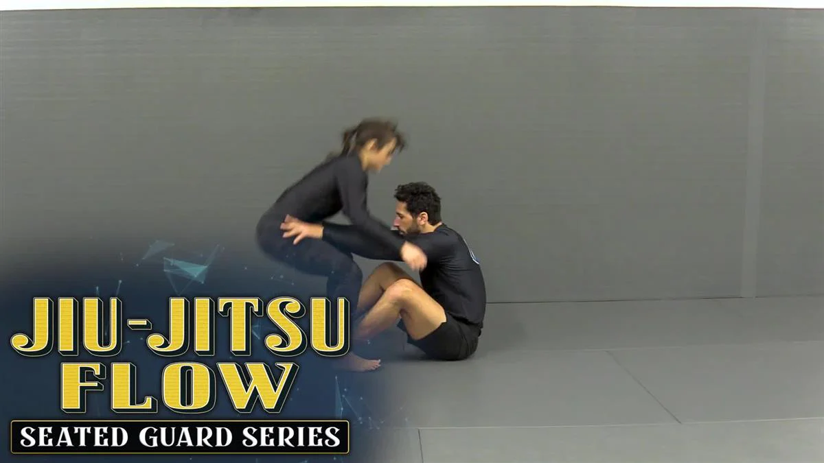 Jiu Jitsu Flow by Ari Goldman - Image 3