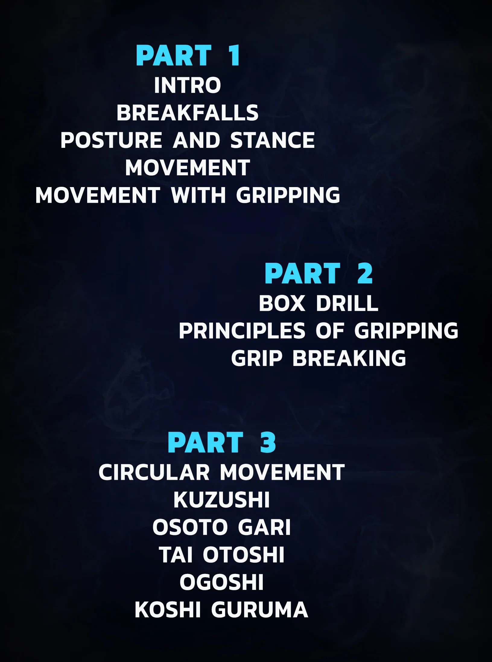 Judo Fundamentals: Building Strong Foundations by Bobby Rich - Image 2