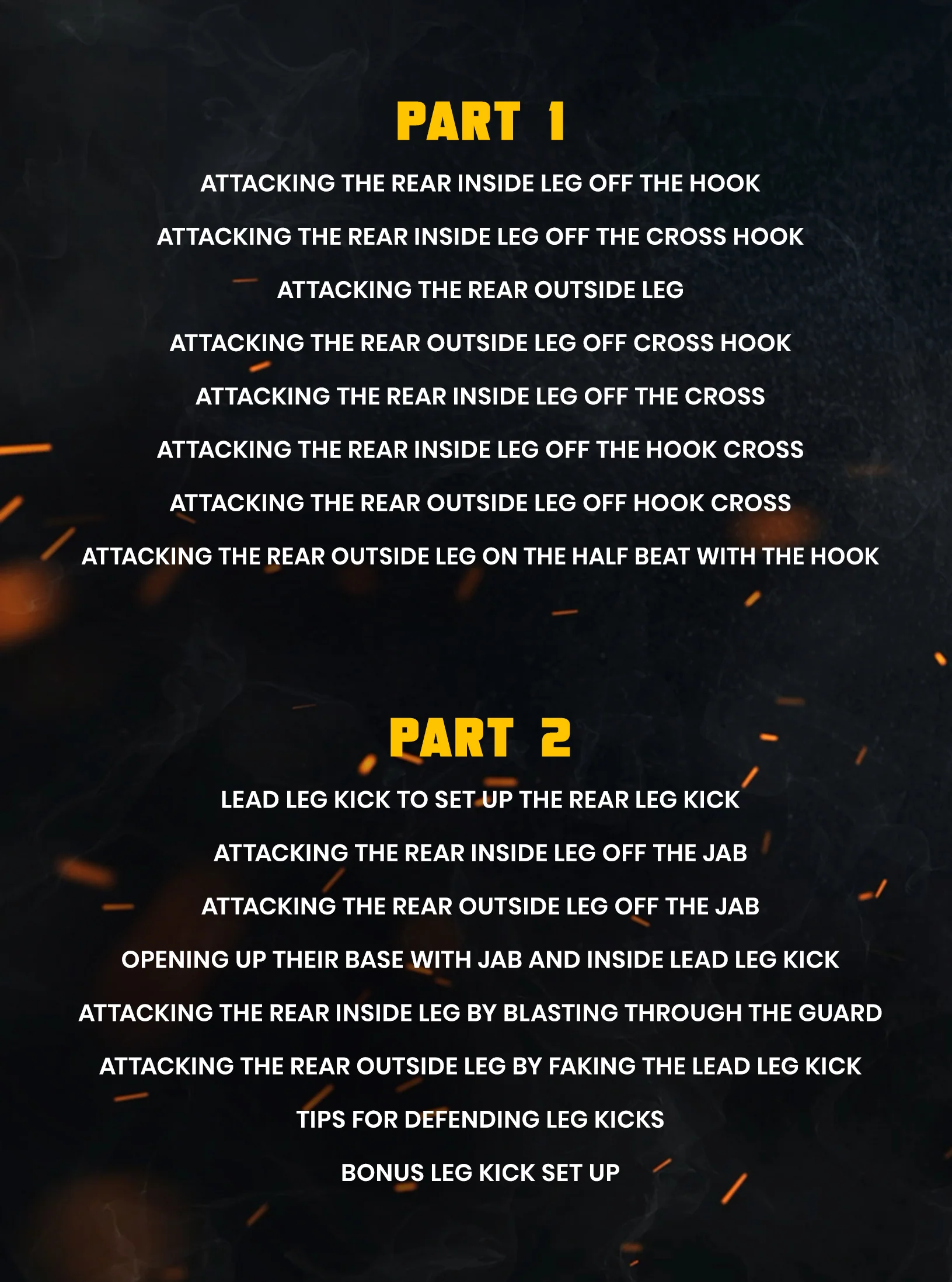Leg Kicks For Muay Thai Volume 2: Attacking The Rear Leg by Duane Ludwig - Image 2