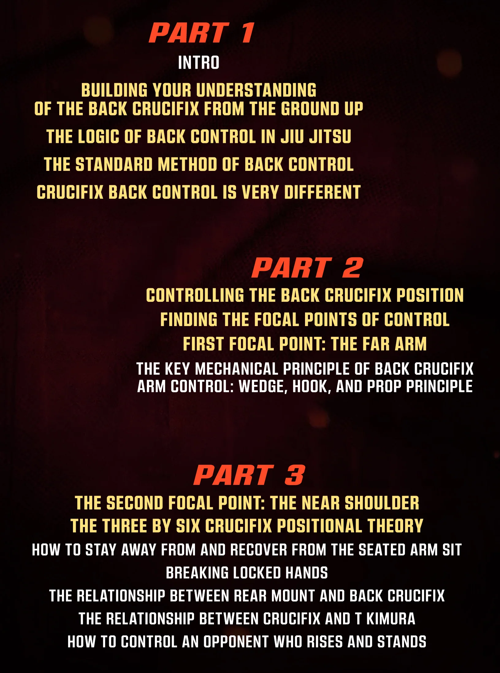 Master The Move: The Back Crucifix by John Danaher - Image 2