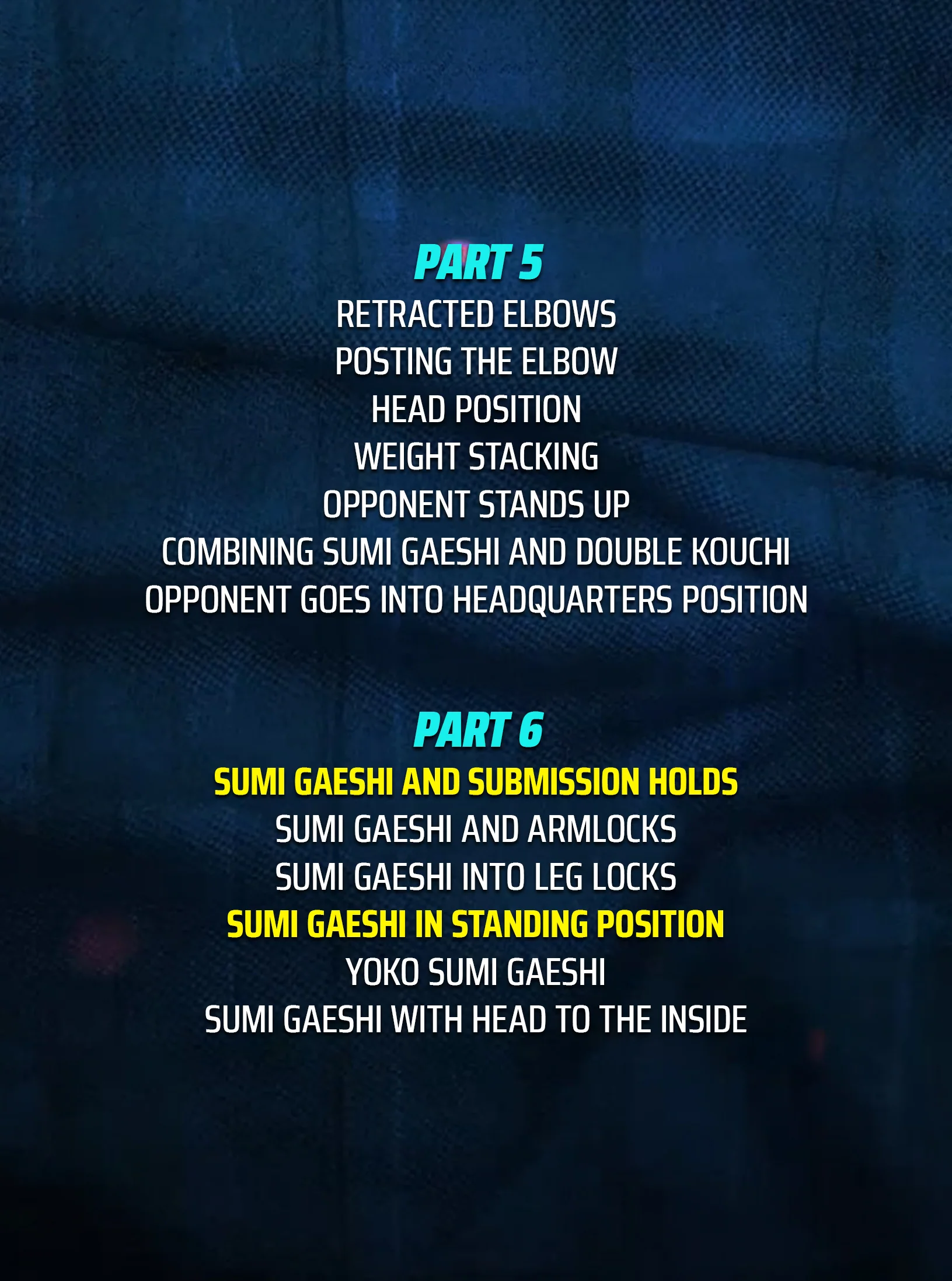 Master The Move: The Butterfly Guard Sweep Sumi Gaeshi by John Danaher - Image 3