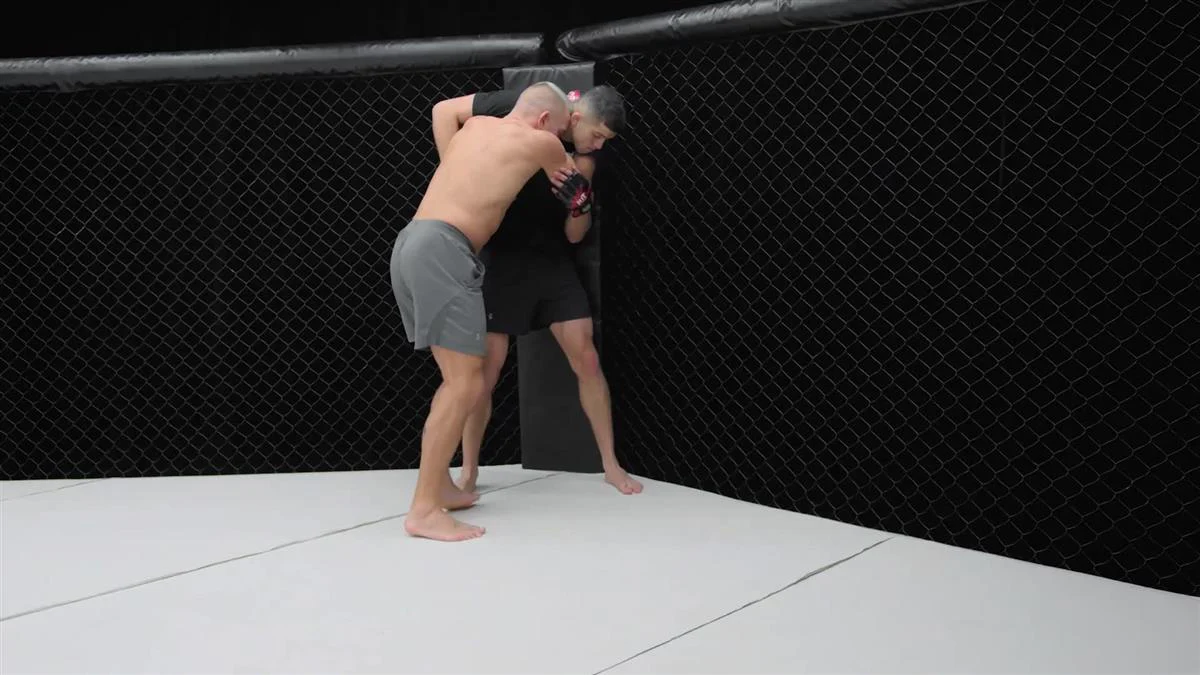 Mixed Martial Arts Fundamentals by Georges St-Pierre - Image 5