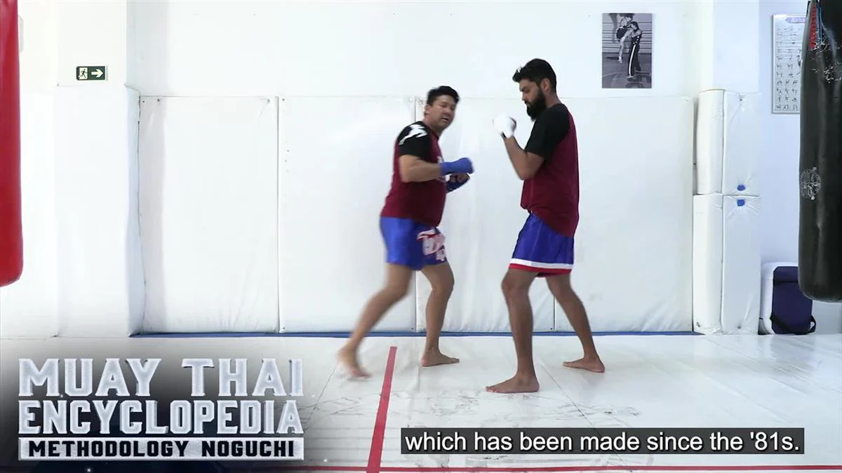 Muay Thai Encyclopedia by Fabio Noguchi - Image 3