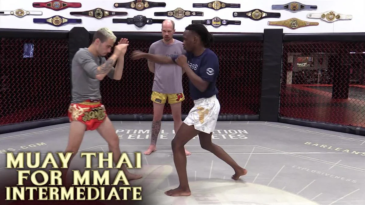 Muay Thai For MMA Intermediate by Alex Exsisto - Image 3