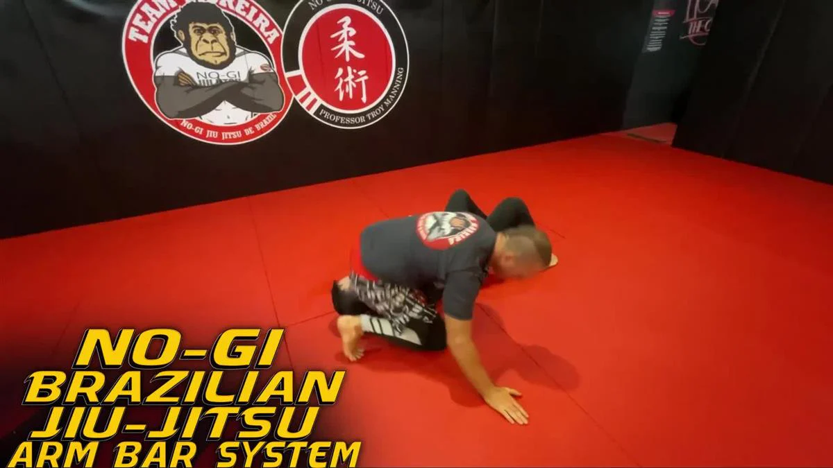 No Gi Brazilian Jiu Jitsu Arm Bar System by Troy Manning - Image 3
