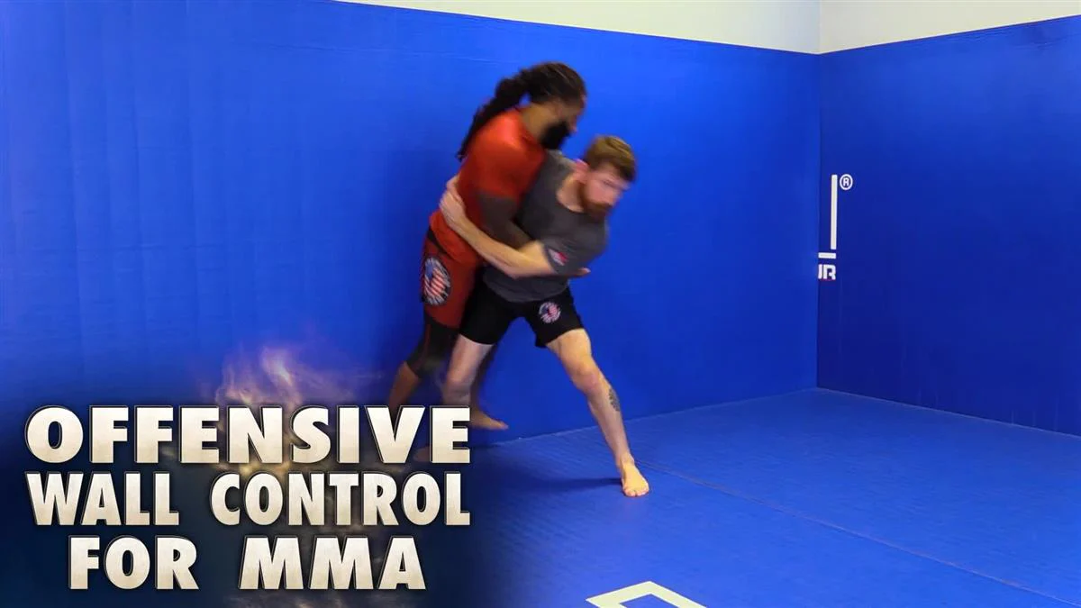 Offensive Wall Control for MMA by Mike Brown - Image 3