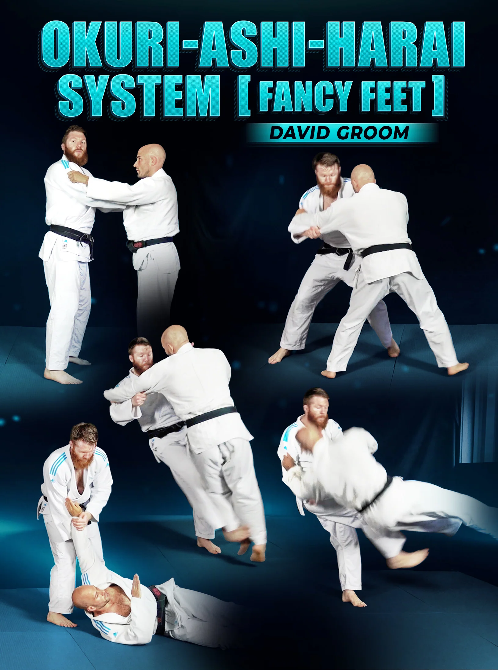 Okuri Ashi Harai System by David Groom